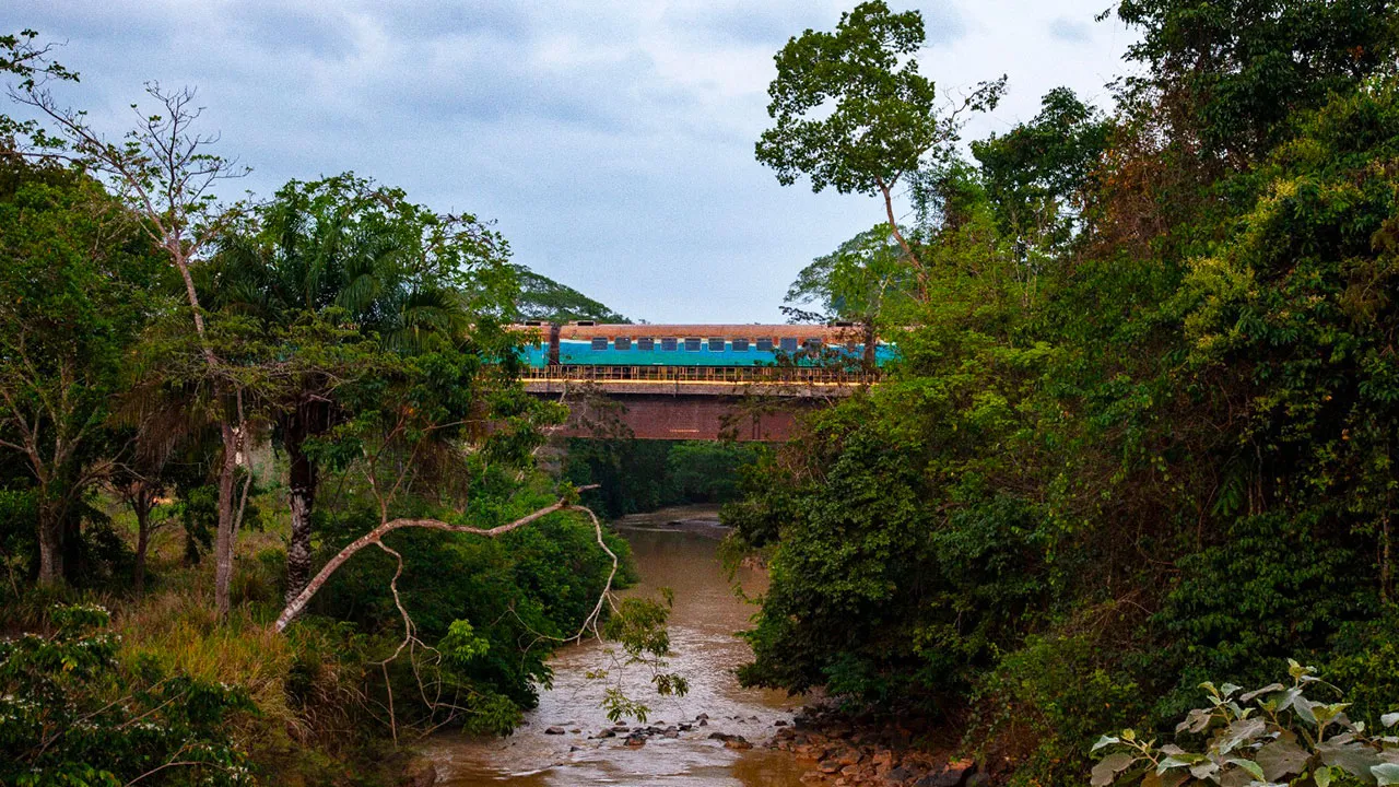 A composição da Estrada de Ferro Carajás corta a densa vegetação amazônica; registro faz parte das 200 imagens que compõem a obra.