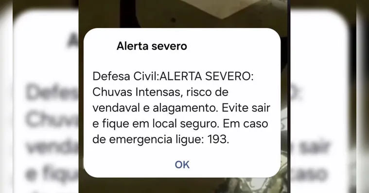 O serviço gratuito da Defesa Civil envia notificações diretamente para celulares via SMS ou WhatsApp.
