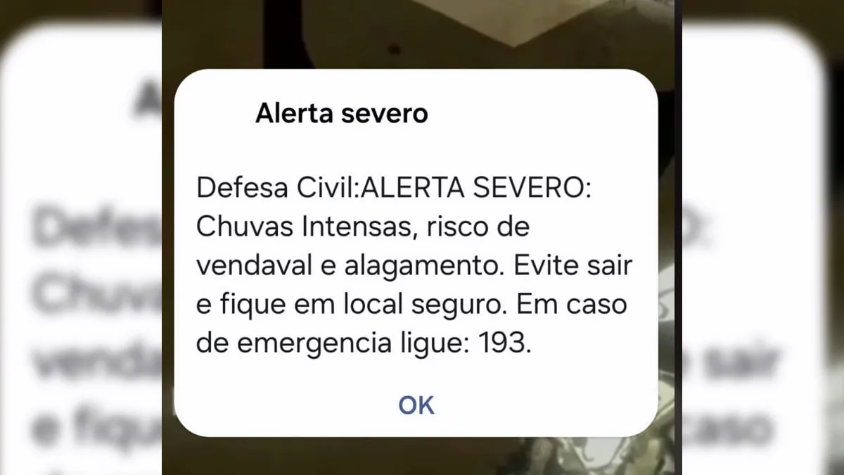 Imagem ilustrativa da notícia: Defesa Civil emite alerta severo sobre chuva e vendaval