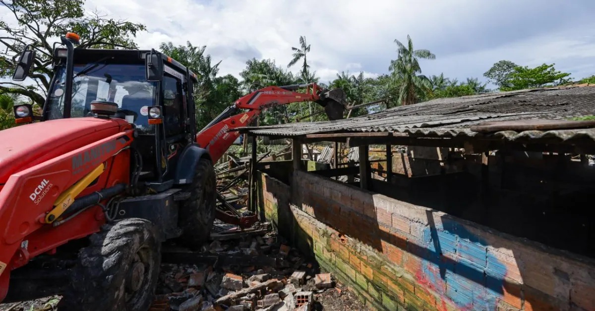 Prefeitura de Belém remove chiqueiro irregular no canal do Mata Fome e intensifica ações contra alagamentos no Tapanã após chuvas históricas.