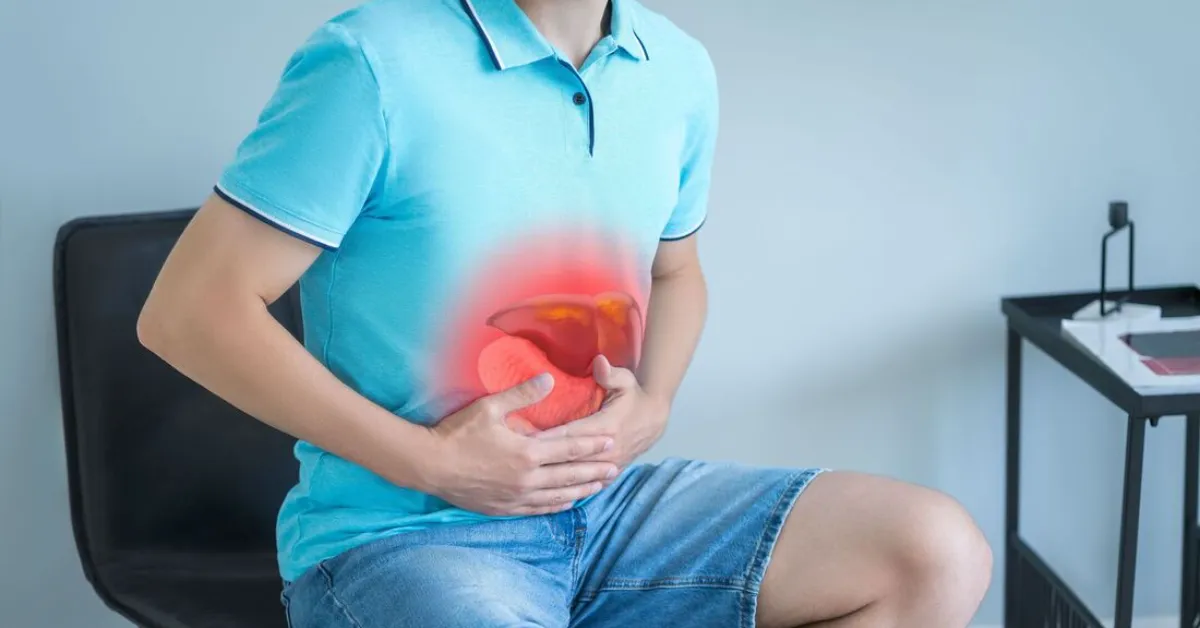 Responsável por funções vitais, o fígado é indispensável para a digestão, a desintoxicação e a manutenção da saúde.