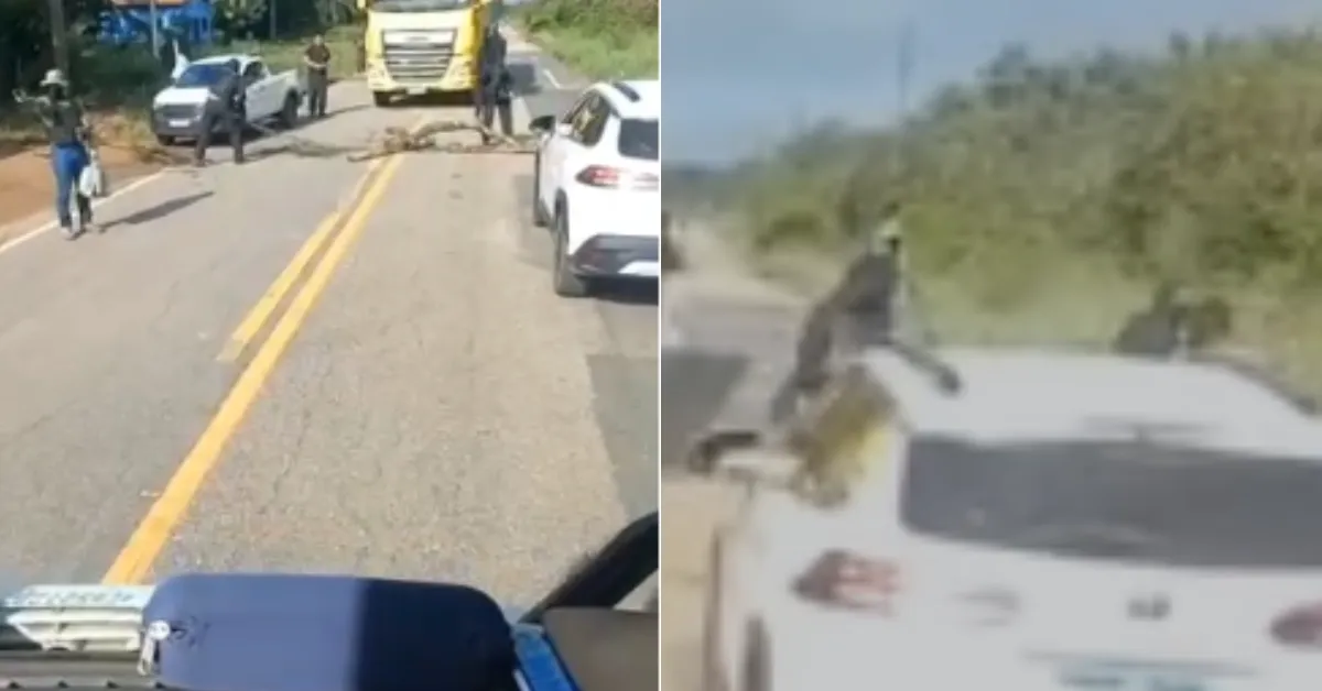 No vídeo, o motorista relata o momento de tensão enquanto trafegava pela estrada.