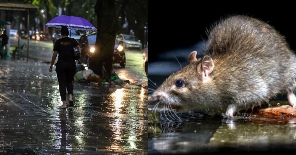 População precisa ter cuidado com os alagamentos