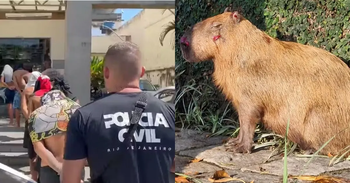 Animal foi agredido cruelmente