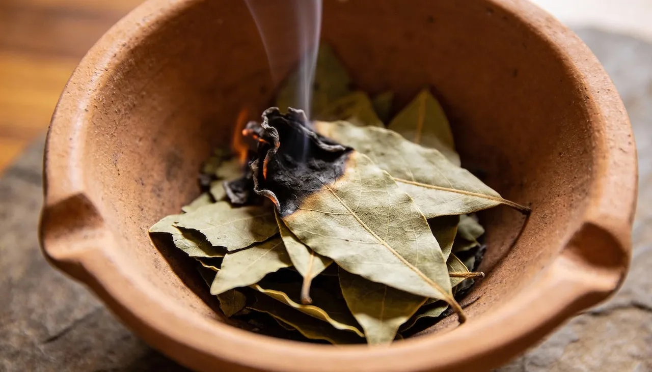 Folhas de louro queimadas ganha espaço como ritual de bem-estar