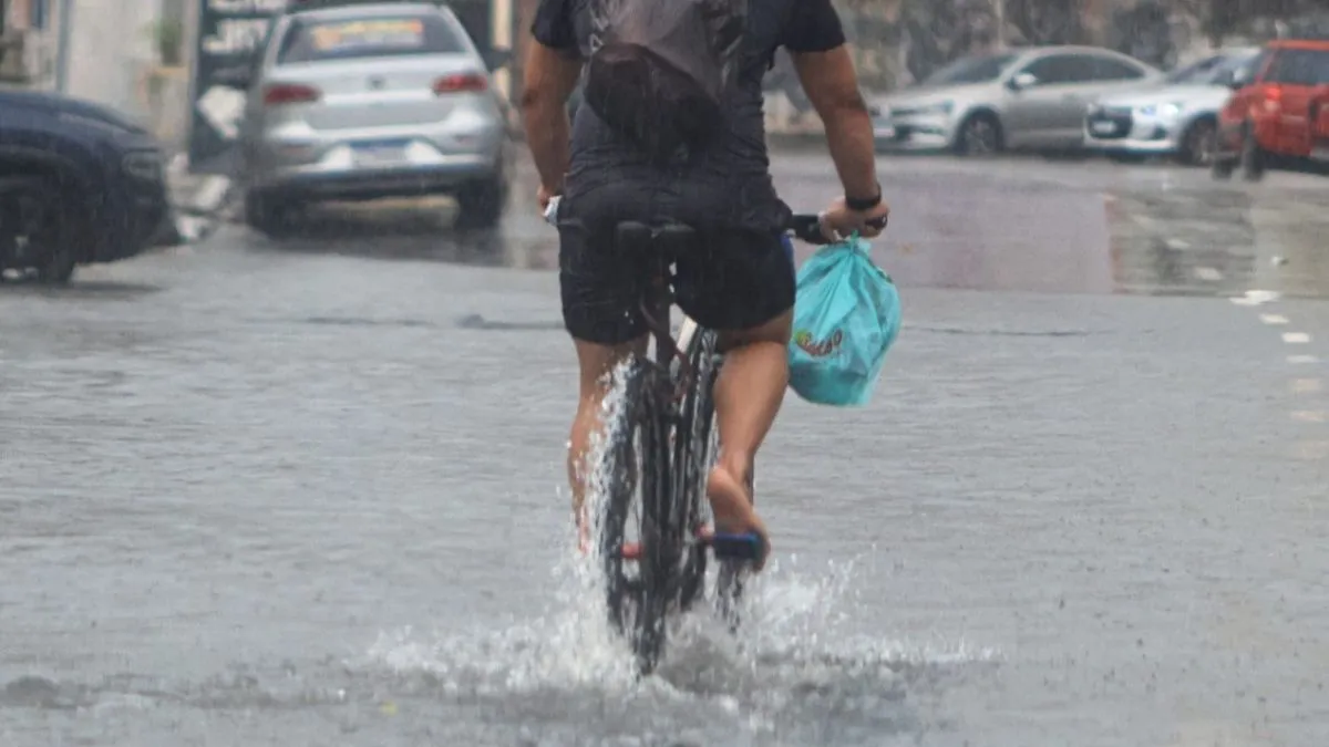 As ações práticas previstas incluem restauração de áreas úmidas, criação de corredores verdes urbanos e instalação de sistemas de drenagem sustentável.