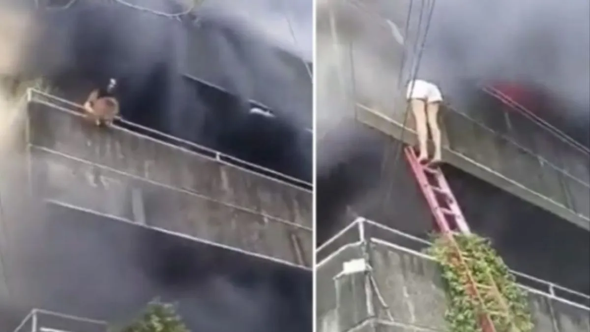 Antes de salvar, mulher resgatou os pets