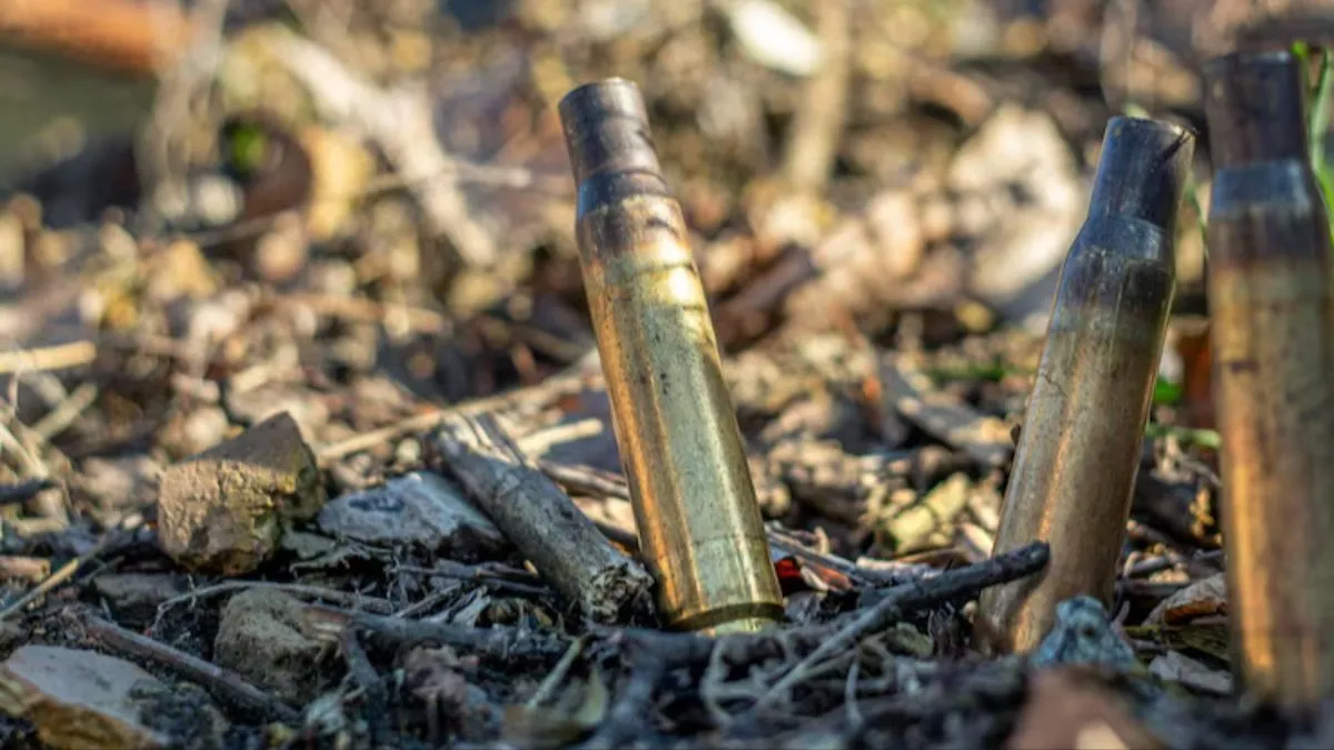 Lúcia Helena Pinto de Barros (PSD), conhecida como Lucinha, será investigada por suposto envolvimento com a "Família Braga".