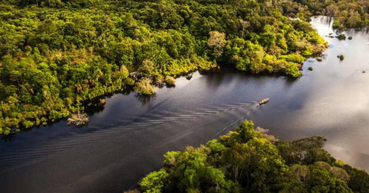 Ação na Justiça Federal destaca riscos à pesca artesanal e cobra revisão do licenciamento ambiental.