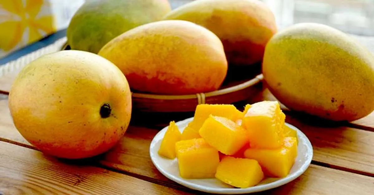 Nutricionistas explicam se quem tem diabetes pode comer manga. Confira todos os detalhes!