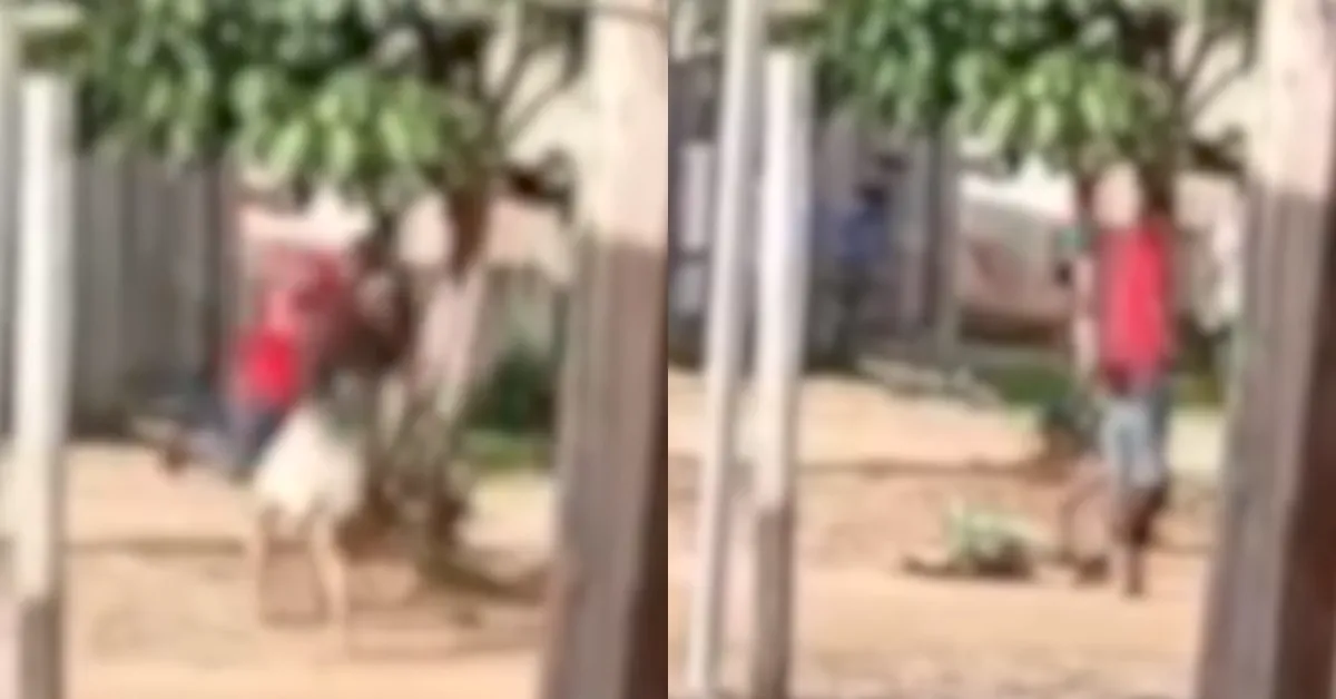 As imagens mostram um homem em uma motocicleta tentando fazer com que a mulher suba no veículo