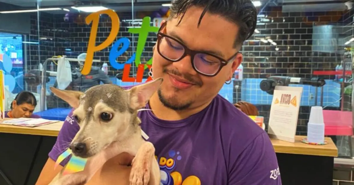 Os animais levados para adoção são acompanhados pelo Centro de Controle de Zoonoses de Belém