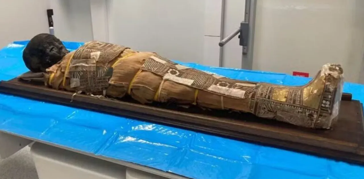 Múmia egípcia de criança submetida a ultrassom e pesquisadores identificam objeto misterioso.