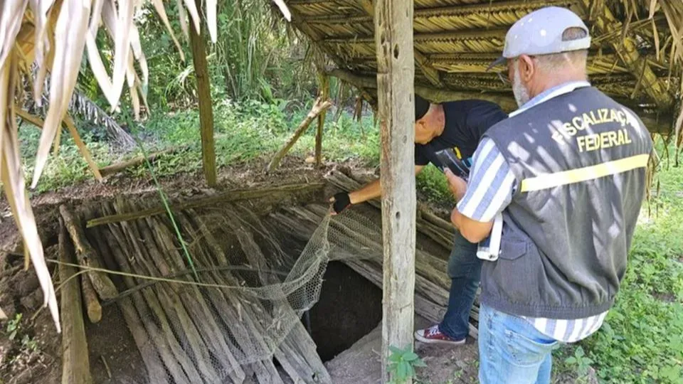 Operações de fiscalização resgatam trabalhadores em condições degradantes no Brasil; somente em 2026, já são 271 vítimas retiradas de situações análogas à escravidão.