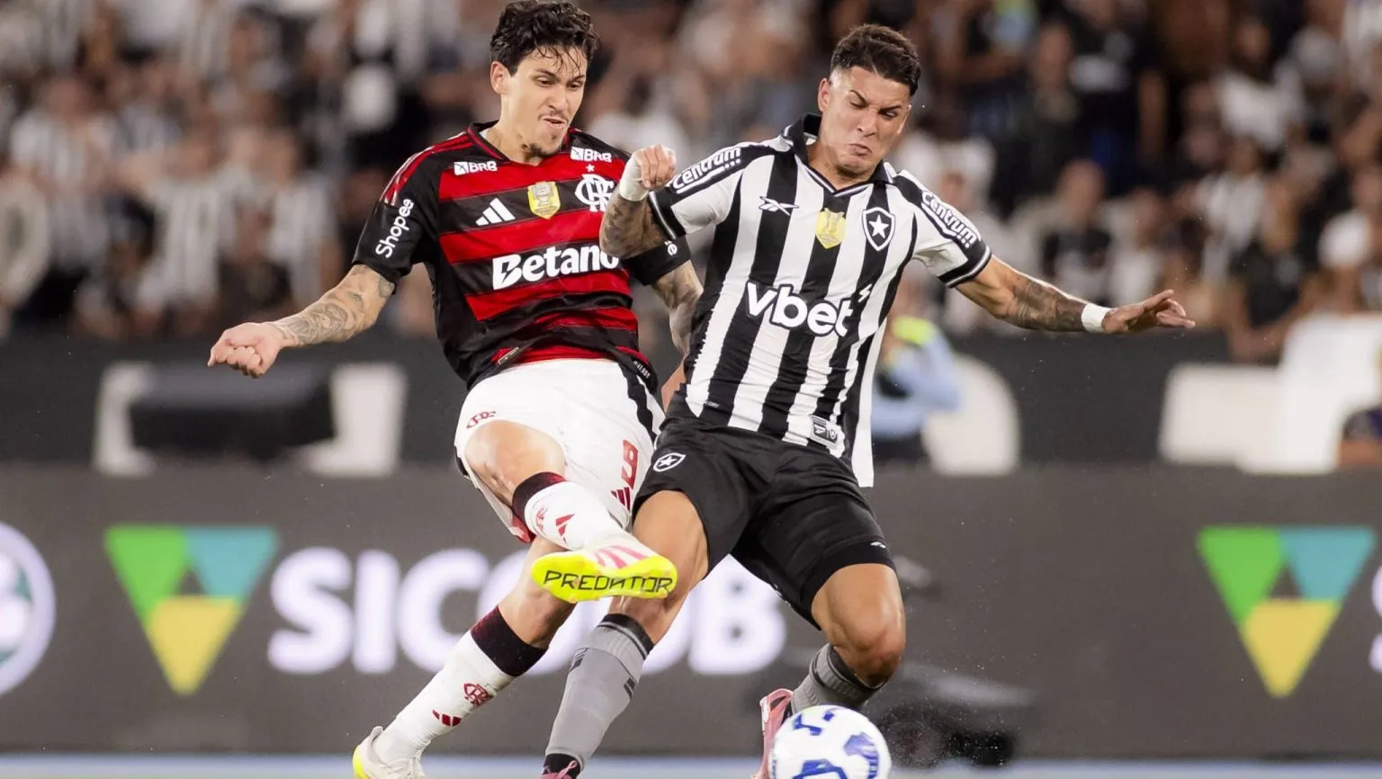 Botafogo de Futebol e Regatas e Clube de Regatas do Flamengo se enfrentam às 17h30 (de Brasília), no Estádio Nilton Santos.