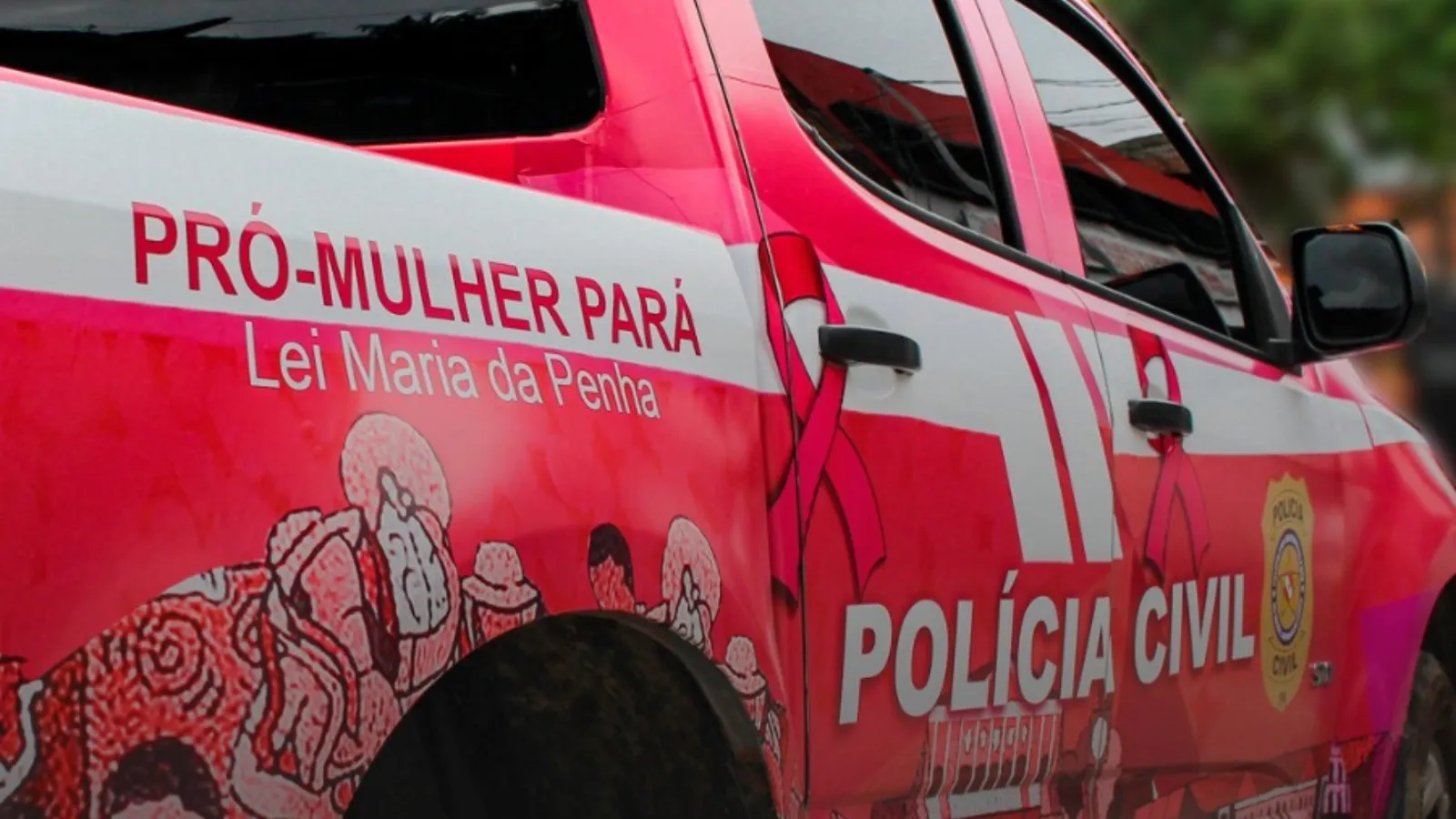 A ação foi realizada por equipes da Delegacia de Oeiras do Pará em conjunto com a Polícia Militar.