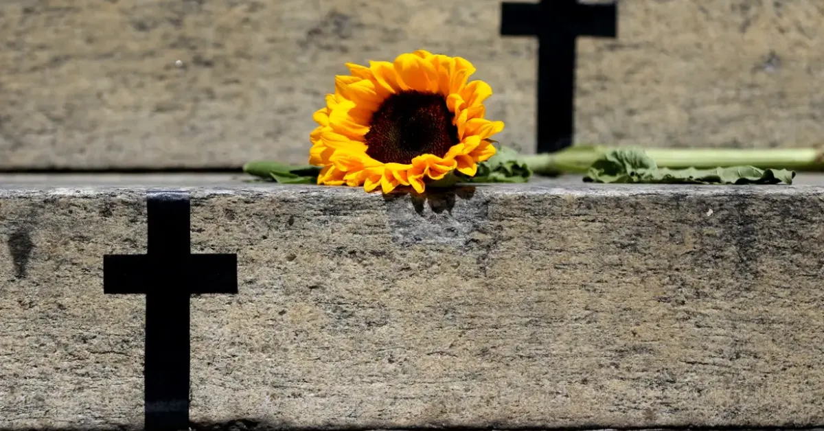 Secretária nacional destaca que agressores usam filhos como instrumento de punição psicológica contra a mulher.