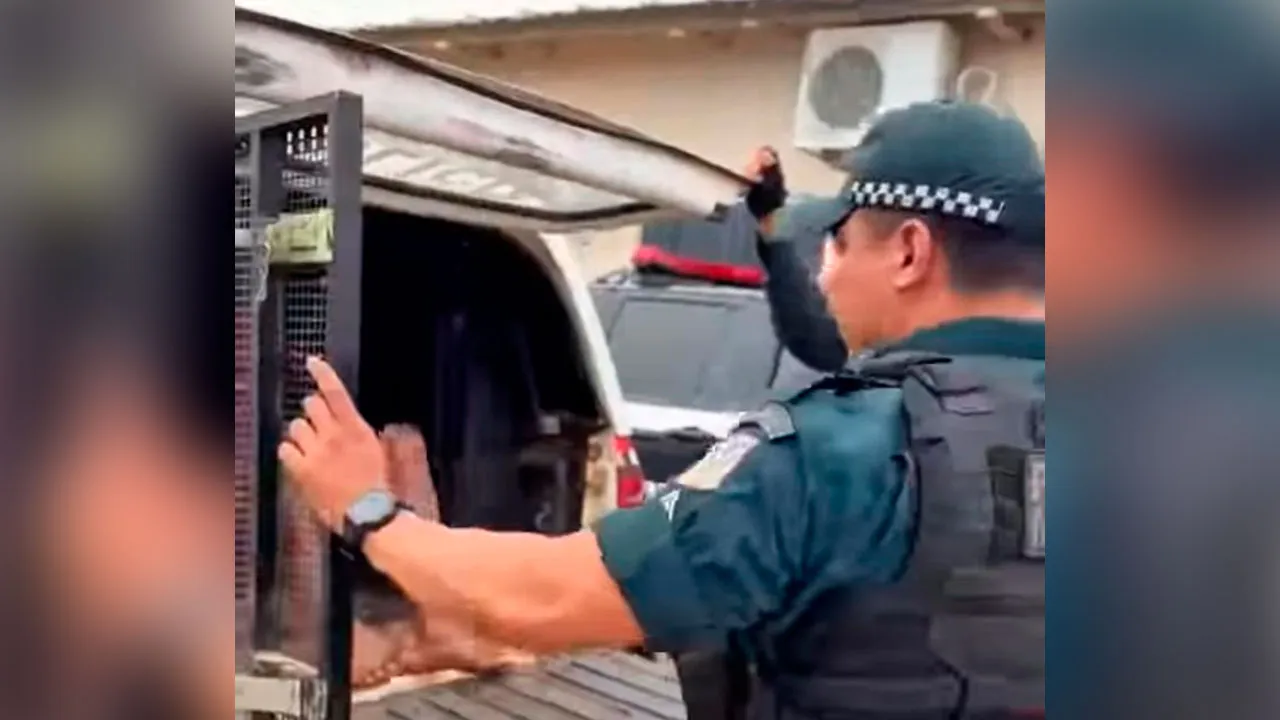 Suspeito foi capturado pela Polícia Militar em praça pública pouco tempo após a fuga.