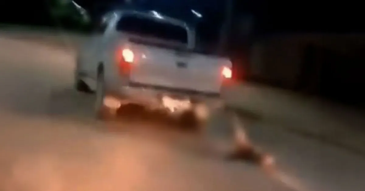 Motorista foi flagrado arrastando cachorro em Redenção, no sudeste do Pará