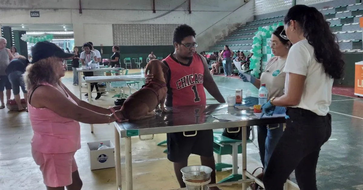 Ao todo, foram disponibilizadas 200 senhas para atendimento veterinário gratuito