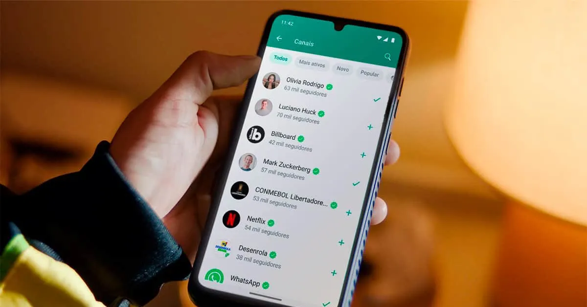 . Embora o recurso também esteja disponível para usuários comuns, especialistas em segurança alertam que expor o número pessoal na internet pode trazer riscos.