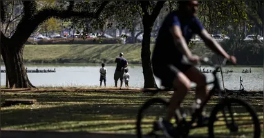 Quem terá o melhor ano econômico de sua vida em 2026