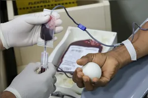 A campanha de doações de sangue foi realizada em todo o Pará.