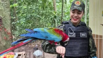 Governo do Pará orienta população a acionar órgãos competentes para garantir segurança e preservação da fauna.