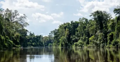 A governadora Hana Ghassan sanciona lei que cria o Dia Estadual das Unidades de Conservação, reforçando a importância da biodiversidade e do desenvolvimento sustentável no Pará.