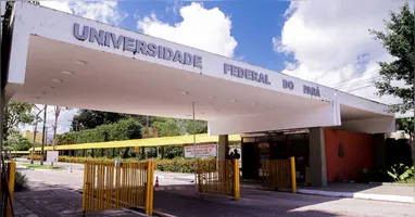 O crescimento no topo da pirâmide acadêmica é o dado mais expressivo da série histórica.