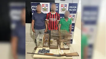 Material apreendido pela Polícia Militar inclui porções de cocaína, arma de fogo e aves silvestres resgatadas durante a ação.