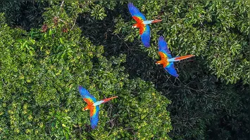 O recuo é visto como um reflexo direto do fortalecimento das ações de comando e controle