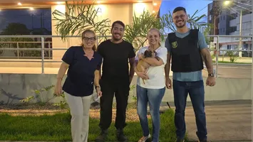 O alerta veio da ONG Focinhos Carentes, coordenada por Dona Fátima