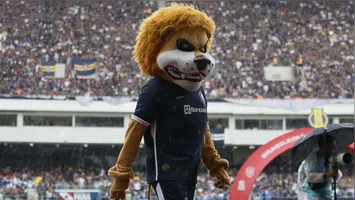 De volta à Série A do Campeonato Brasileiro, o Leão Azul planeja uma temporada de forte investimento esportivo.