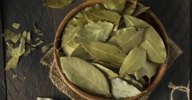 As folhas de louro podem atrair prosperidade e proteção.