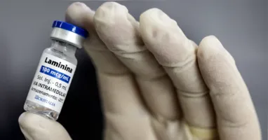 Pesquisadores da Universidade Federal do Rio de Janeiro conduzem estudos sobre a polilaminina, proteína experimental investigada para regeneração da medula espinhal