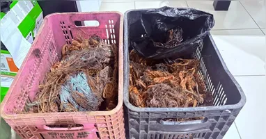 Durante a abordagem, os suspeitos informaram inicialmente que teriam encontrado os fios em via pública.