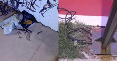 A guarnição foi acionada pela Central 153 após denúncias de indivíduos furtando cabos na área.