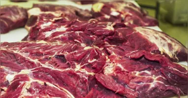 As novas regras estabelecem cotas de importação por país.