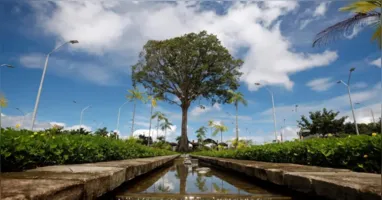 A iniciativa é resultado de parceria entre a Secretaria de Estado de Educação (Seduc) e o Instituto de Desenvolvimento Florestal e da Biodiversidade (Ideflor-Bio).