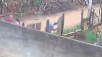 Pessoas tentam salvar a criança do ataque
