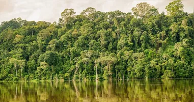 Impacto das Políticas Ambientais no Pará em 2025