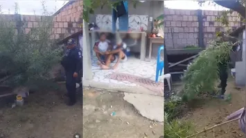 Os detidos responderam que utilizariam a “folha” para fins medicinais, versão contestada pelos militares no local.