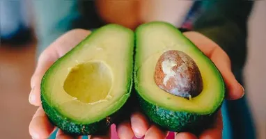 O abacate ajuda a soltar o intestino e traz inúmeros benefícios para a saúde. Confira!