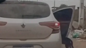 O cachorro foi abandonado por um carro no meio da avenida.