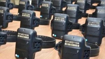 Projeto aprovado no Senado altera a Lei Maria da Penha e permite que delegados determinem o monitoramento eletrônico em casos de risco iminente.