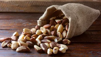 As castanhas e nozes conquistaram espaço definitivo nas dietas equilibradas.