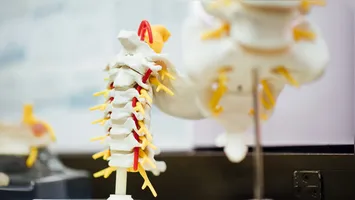 Pesquisas com polilaminina buscam regenerar conexões danificadas nessa região após lesões traumáticas.