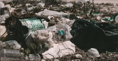 Governo do Pará recorre ao STJ para suspender audiência sobre a CTR Metropolitana