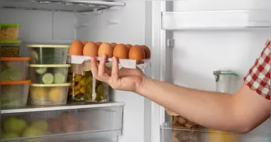 A temperatura ideal de uma geladeira deve ficar abaixo de 5 °C para garantir a conservação adequada dos alimentos.